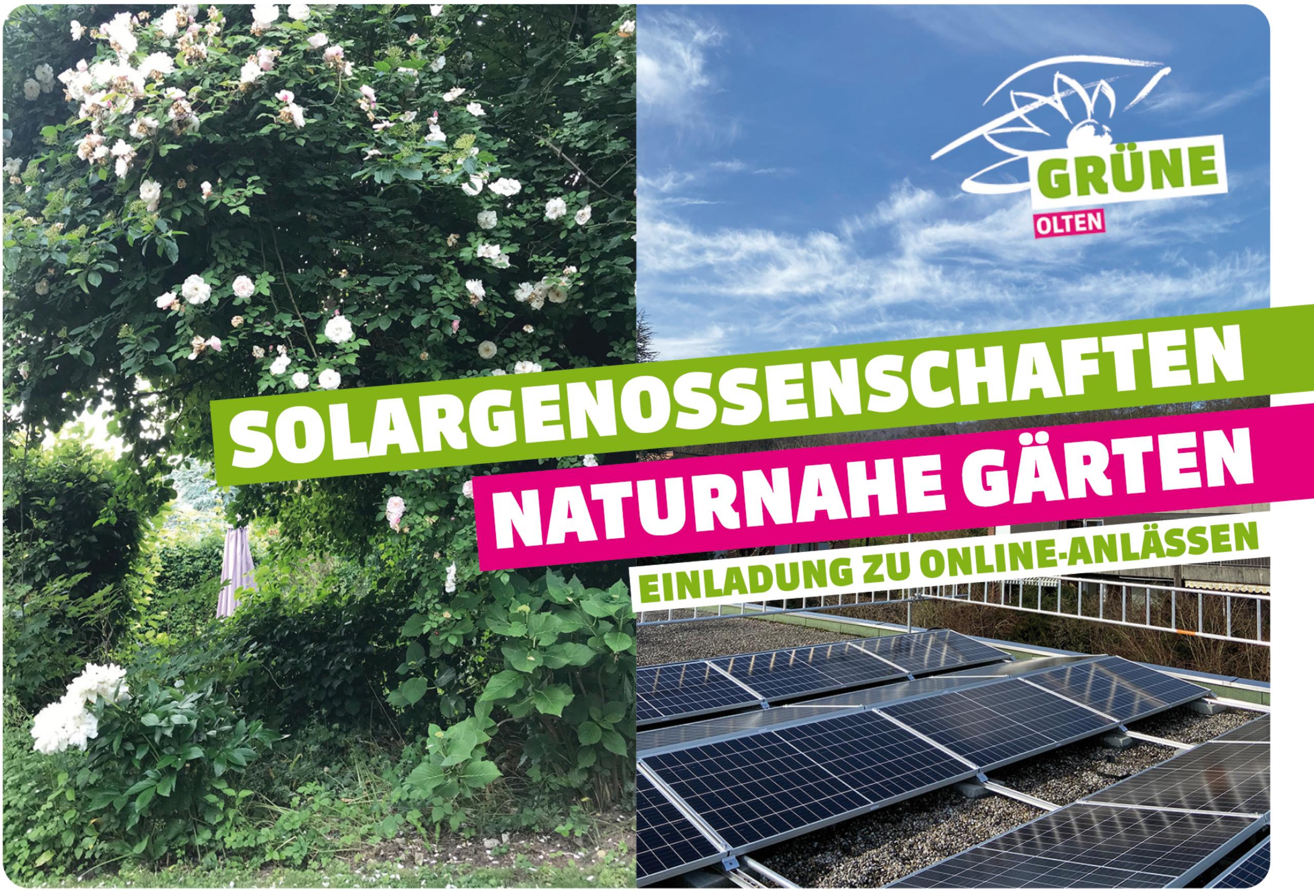 Solargenossenschaften, Naturnahe Gärten. Einladung zu Online-Anlässen